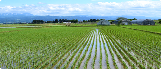 あらゆる負担を軽減できる高機能